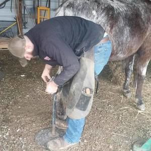 Meet your Posher, Johnathan